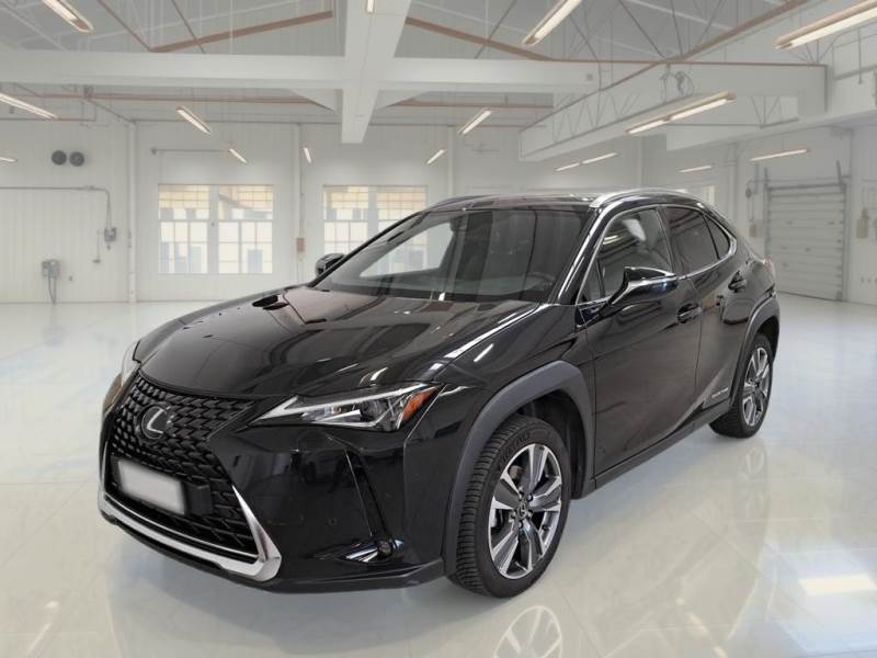LEXUS UX 300E 204