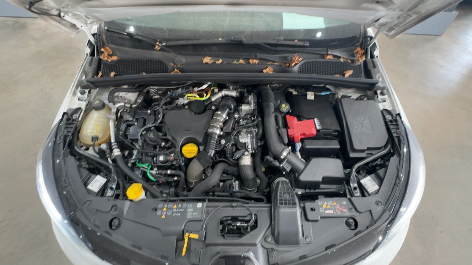 RENAULT CLIO — vano motor | CSV Motor BARCELONA