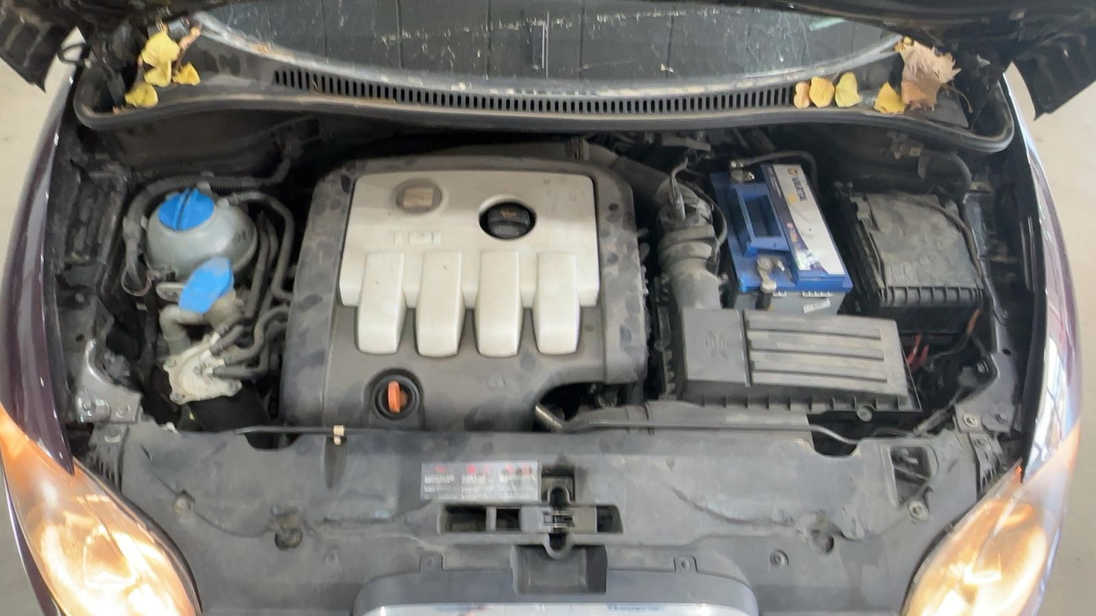 SEAT — vano motor | CSV Motor VALDEFUENTES